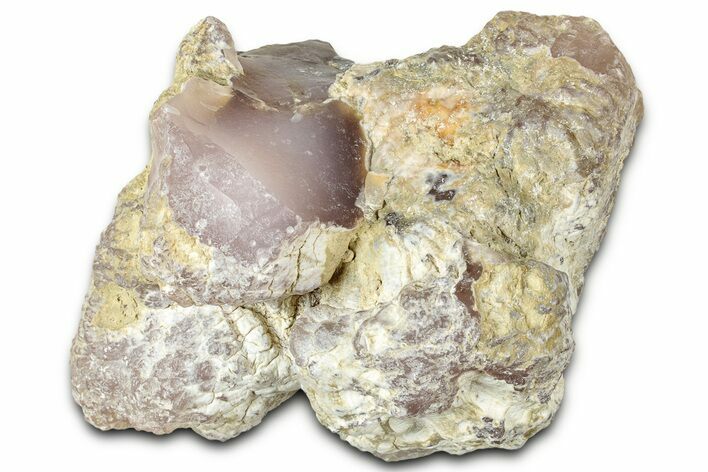 Pink Agate Replaced Petrified Wood Cast - Nevada #326681